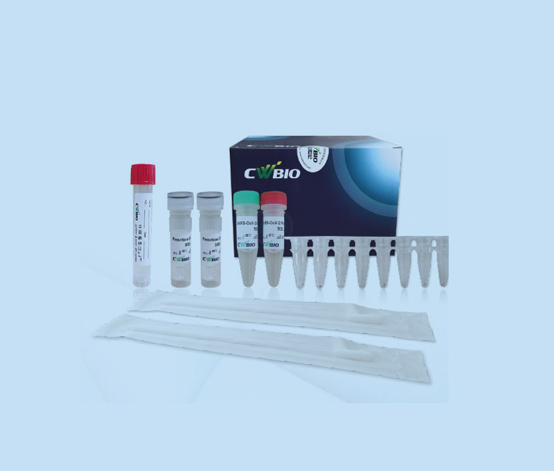 CWBIO- Novel Coronavirus (SARS-CoV-2) Fast Nucleic Acid Detection Kit (PCR-Fluorescence Probing) 